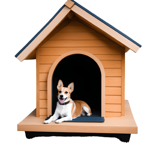 Small Dog House: A Guide to Finding the Perfect Fit